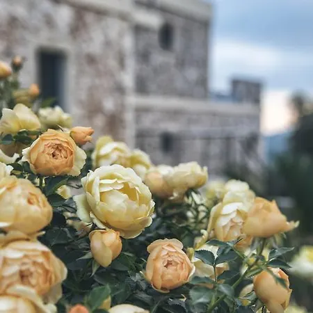 Kastraki Epavlis Вилла Агиос-Маркос